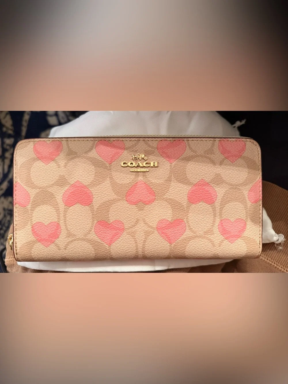 Coach Heart Signature Long Zip Wallet